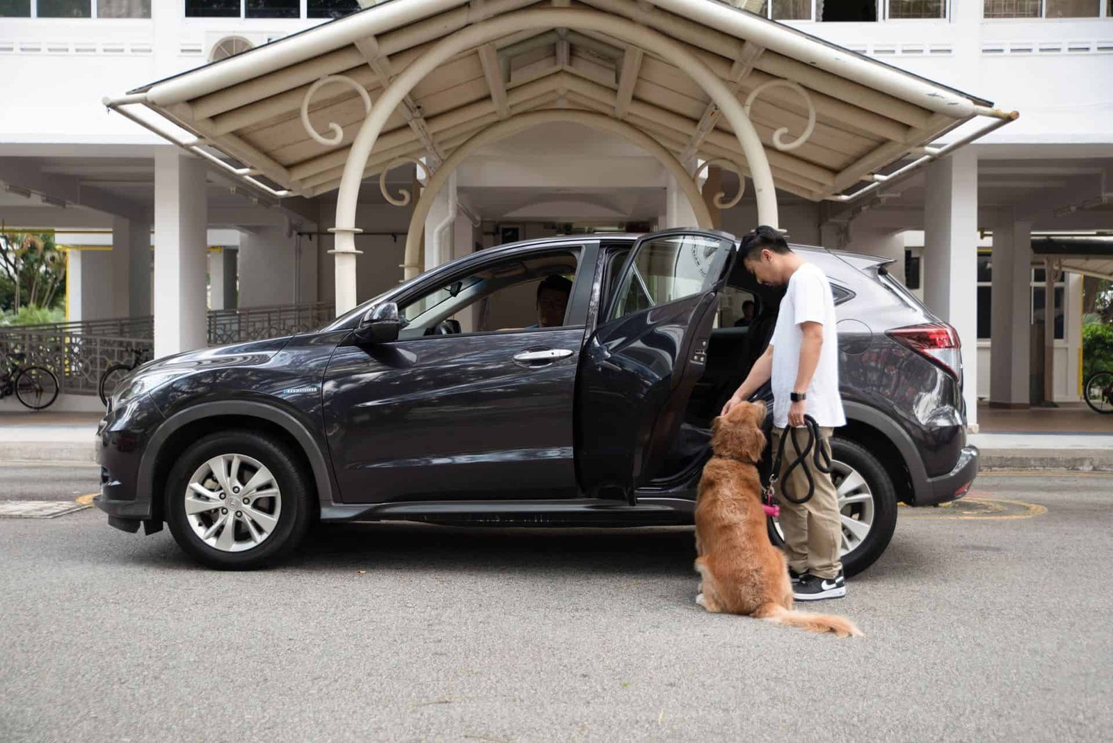 Pet-Friendly Driver Service in Dubai: Comfort Travel with Pet Friends